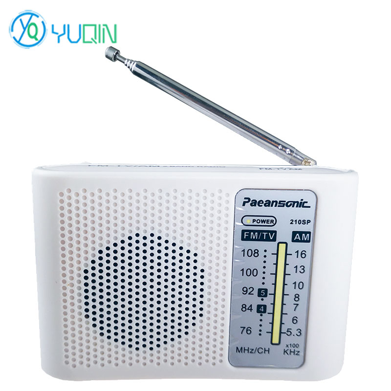 210SP AM/FM Radio Kit DIY Elec - đánh giá và giá Diy Electronics Projects For Adults